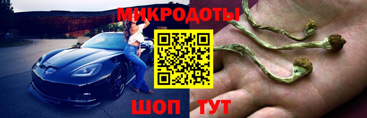 Галлюциногенные грибы Cubensis Соликамск